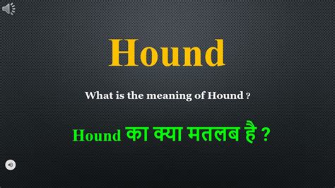 hounding meaning in hindi